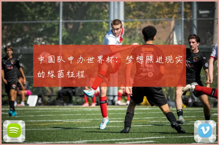 中国队申办世界杯：梦想照进现实的绿茵征程