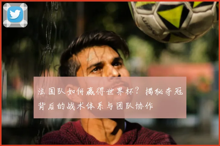 法国队如何赢得世界杯？揭秘夺冠背后的战术体系与团队协作